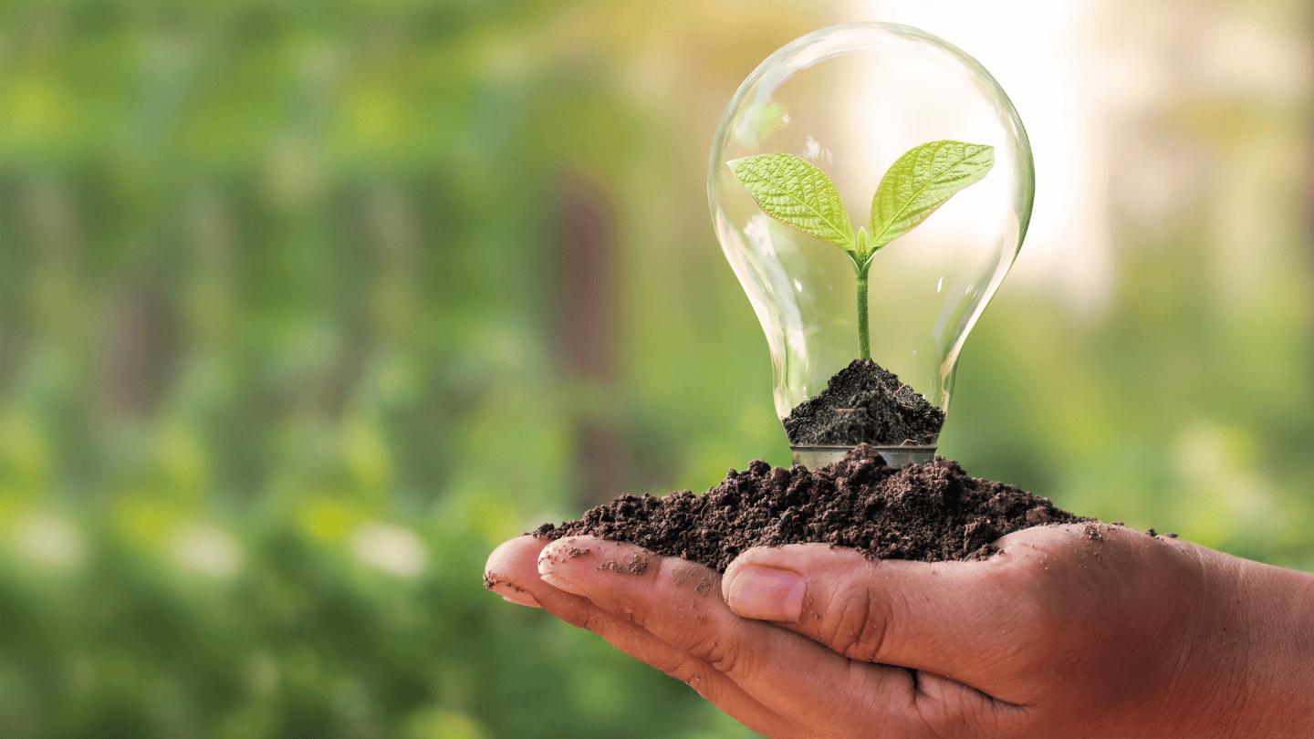 Impacto Ambiental